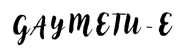 gaymetu-e